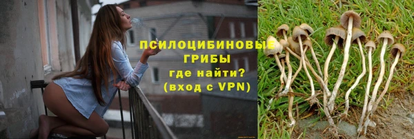 бошки Краснотурьинск