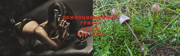 a pvp Кодинск
