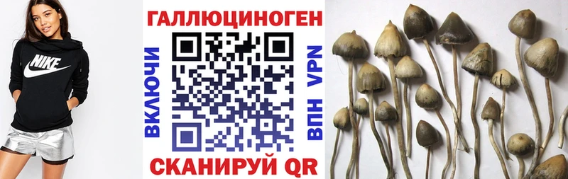 наркошоп  Ленинск-Кузнецкий  Галлюциногенные грибы GOLDEN TEACHER 