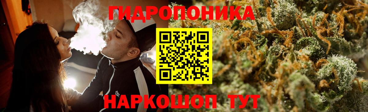 Каннабис планчик  Канабис конопля  Вход с VPN  Ленинск-Кузнецкий  Шишки марихуана индика 
